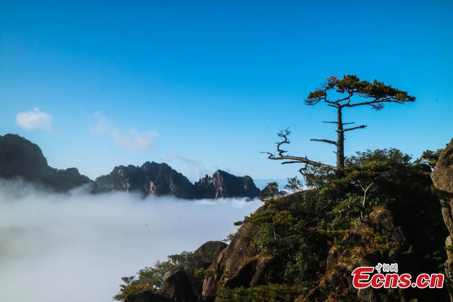 Mist and clouds surround Mount Huangshan in Anhui Province on Oct. 23, 2018. A UNESCO World Heritage site, the area is well known for its scenery, sunsets, peculiarly-shaped granite peaks, and Huangshan pine trees. (Photo: China News Service/Li Jingang)