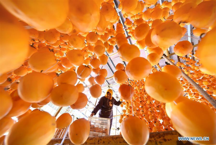 Eating persimmons
Eating persimmons during Frost\'s Descent can help people resist the cold and protect their bones. In the countryside, people believe that their lips will crack if they don\'t eat persimmons during this period.