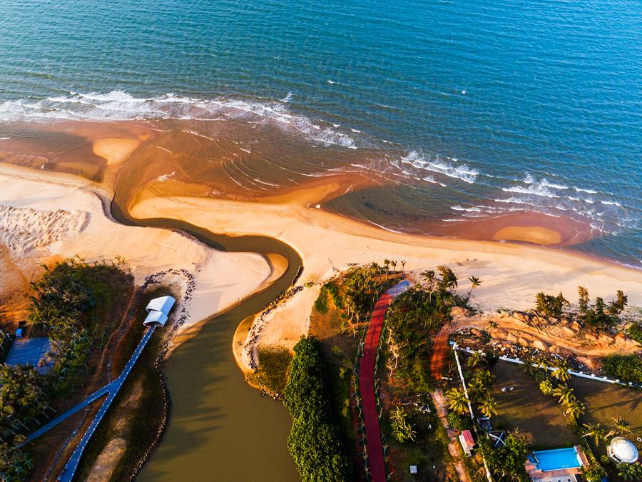 A corner of a coastal wetland in western Haikou. (Photo provided to chinadaily.com.cn)
He said the city has also issued a number of legal regulations and compiled a master list on wetland protection, to safeguard its ecological resources.
\