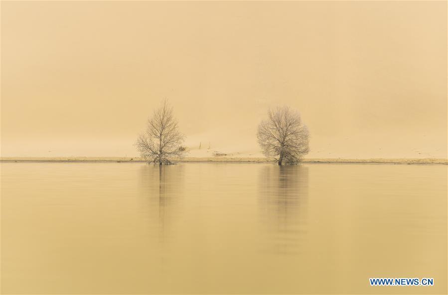 Trees of desert poplar are seen in Yuli County, northwest China\'s Xinjiang Uygur Autonomous Region, Oct. 17, 2018. Xinjiang has infused 7 billion cubic meters of water to the dry trunk stream of the lower reaches of the Tarim River in 18 rounds of water diversion since 2000, making the local forest of desert poplar a tourist attraction. (Xinhua/Zhao Ge)