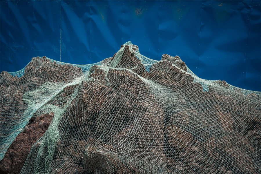Wander Collection, by Wang Zeying. (Photo provided to chinadaily.com.cn)
The landscape in daily life appeals to Wang Zeying, which he can\'t distinguish truth from fiction. The meaning of the image lies in seeking its own meaning or meaninglessness, according to Wang.