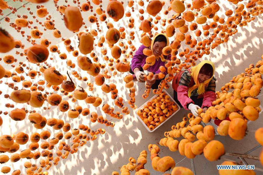 Farmers hang persimmons for drying in Maquan Village of Yinan County, east China\'s Shandong Province, Nov. 2, 2018. (Xinhua/Du Yubao)