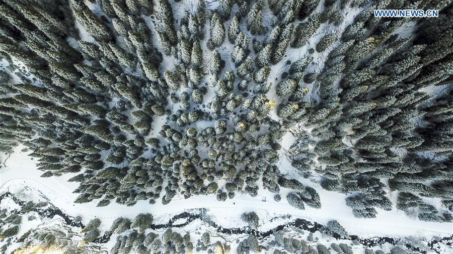 Aerial photo taken on Nov. 4, 2018 shows snow scenery in Nanshan scenic spot in southern Urumqi, capital of northwest China\'s Xinjiang Uygur Autonomous Region. (Xinhua/Hu Huhu)