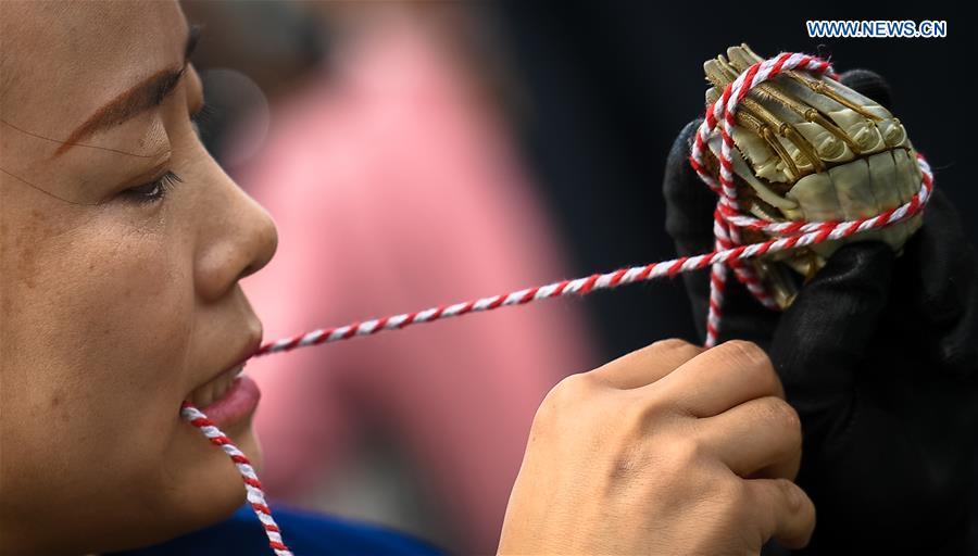A woman takes part in a crab binding contest in Sihong County, east China\'s Jiangsu Province, Nov. 3, 2018. A total of 100 contestants participated in the event on Saturday. The winner bound 30 crabs within 3 minutes and 59 seconds. (Xinhua/Li Xiang)