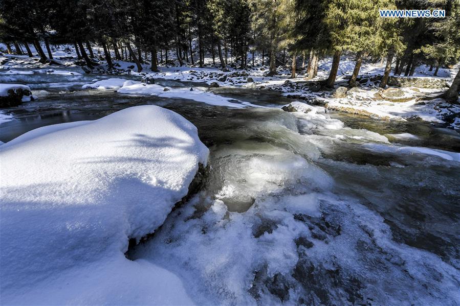 Photo taken on Nov. 4, 2018 shows snow scenery of a creek in Nanshan scenic spot in southern Urumqi, capital of northwest China\'s Xinjiang Uygur Autonomous Region. (Xinhua/Hu Huhu)