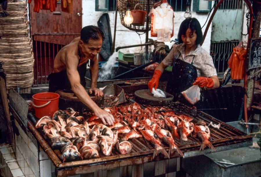 Guangzhou Qingping market, near Shamian Island. (Photo by Jamie Fouss/provided to chinadaily.com.cn)