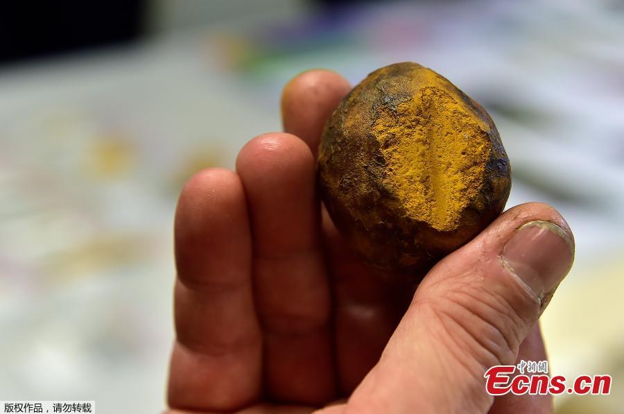 An ocher colour ball used for body paints and tanning animal skins is shown by archaeologists from INRAP (National Institute of Preventive Archaeological Research) during an excavation of a construction site near the train station of Angouleme, southwest France on November 7, 2018 where important prehistoric discoveries have been made. - On this site of some 2000 square meters, the excavations covers several prehistoric periods starting 11,500 years ago to 8500 years before the Common Era (BCE). (Photo/Agencies)