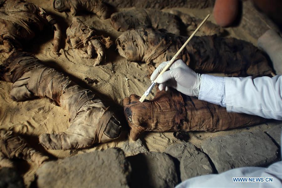 An archeologist works in a tomb in Saqqara Necropolis, Giza Province, Egypt, on Nov. 10, 2018. Egypt\'s Minister of Antiquities Khaled al-Anany announced Saturday the discovery of seven pharaonic tombs in Saqqara Necropolis. (Xinhua/Ahmed Gomaa)