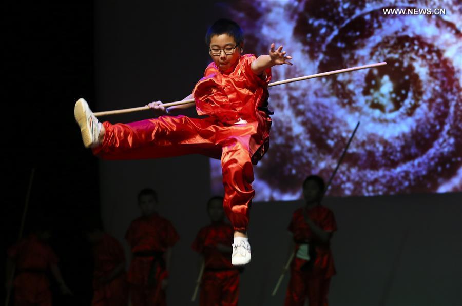 A martial arts student performs during \