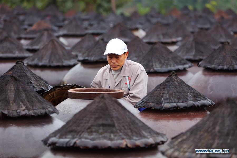 A worker checks vinegar aired in a jar at a vinegar plant in Chishui, southwest China\'s Guizhou Province, Nov. 18, 2018. Chishui maintained a traditional method to make vinegar with over 30 process steps.(Xinhua/Wang Changyu)