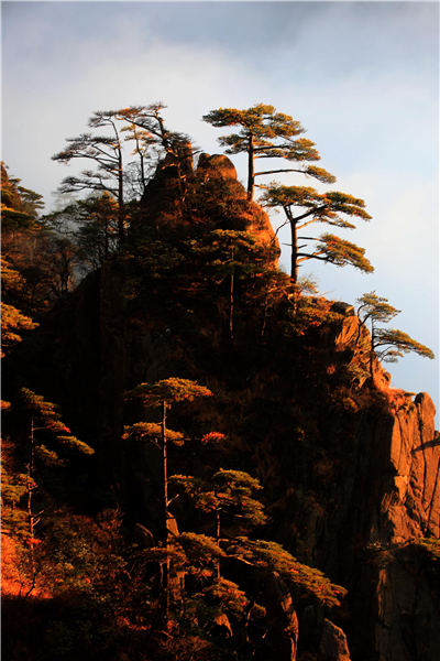 Huangshan Mountain welcomed its first cloud sea spectacle of the winter on Nov 19, 2018. The ever-changing clouds reflect the glimmer of sunset, forming a magnificent landscape. (Photo/Asianewsphoto)