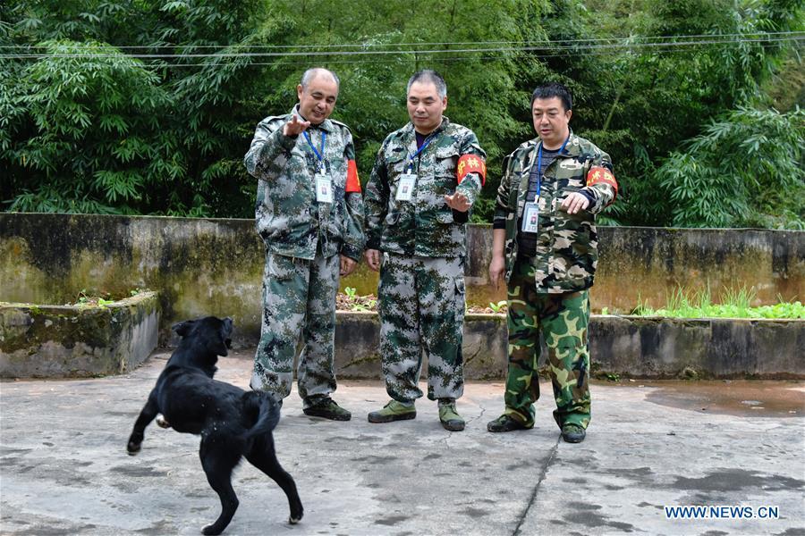 Forest rangers Tang Xiaoping (L), Li Yongfu (C) and Yang Yueping play with a dog at Hushi forestry farm in Chishui City, southwest China\'s Guizhou Province, Oct. 24, 2018 Chishui is famous for its bamboo forest. To guard the bamboo, forest rangers need to patrol for all year round. At the Hushi forestry farm, there is a patrol group consisting of a dozen of forest rangers. They are in charge of about an area of 2,400 hectares. Loneliness is one of the difficulties they need to face as they can only go back home after one-week work. But all of them stay to keep working after those years as they love the bamboo forest and are determined to guard it. (Xinhua/Li Mangmang)