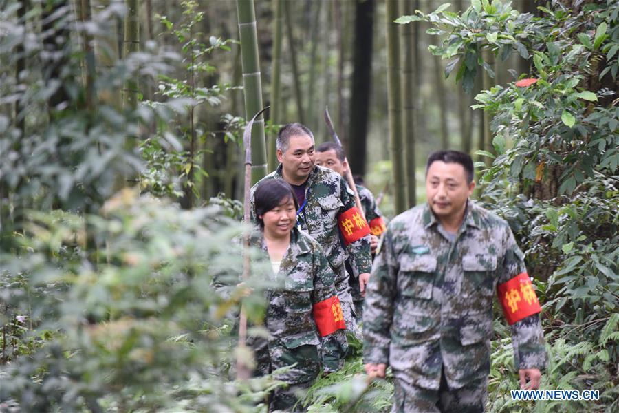 Forest rangers patrol in a bamboo forest at Hushi forestry farm in Chishui City, southwest China\'s Guizhou Province, Oct. 24, 2018. Chishui is famous for its bamboo forest. To guard the bamboo, forest rangers need to patrol for all year round. At the Hushi forestry farm, there is a patrol group consisting of a dozen of forest rangers. They are in charge of about an area of 2,400 hectares. Loneliness is one of the difficulties they need to face as they can only go back home after one-week work. But all of them stay to keep working after those years as they love the bamboo forest and are determined to guard it. (Xinhua/Huang Xiaoyong)