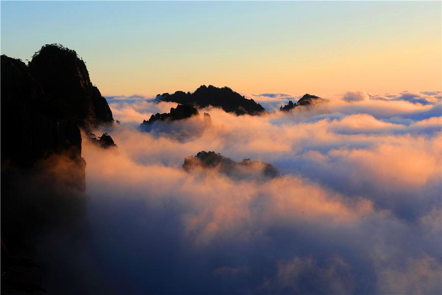 Huangshan Mountain welcomed its first cloud sea spectacle of the winter on Nov 19, 2018. The ever-changing clouds reflect the glimmer of sunset, forming a magnificent landscape. (Photo/Asianewsphoto)