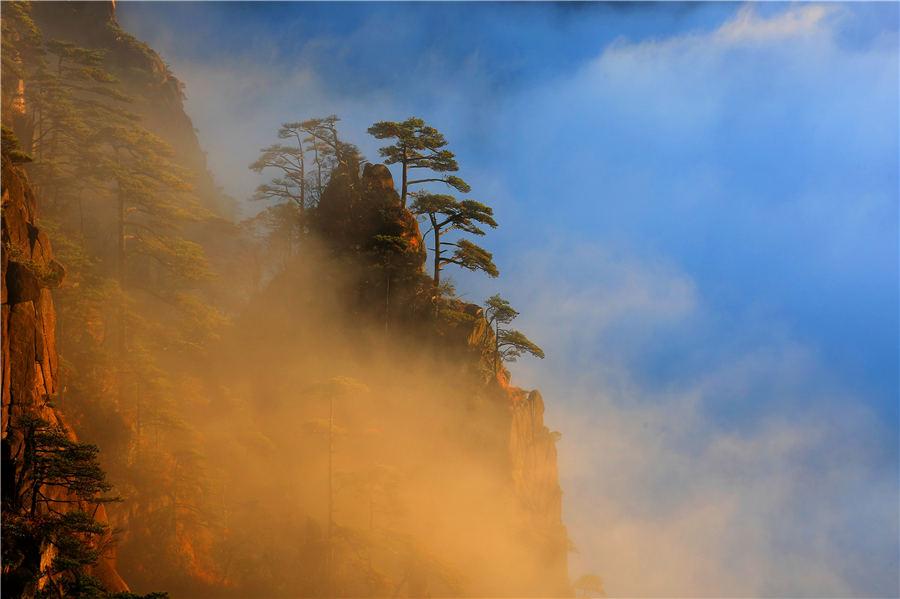 Huangshan Mountain welcomed its first cloud sea spectacle of the winter on Nov 19, 2018. The ever-changing clouds reflect the glimmer of sunset, forming a magnificent landscape. (Photo/Asianewsphoto)