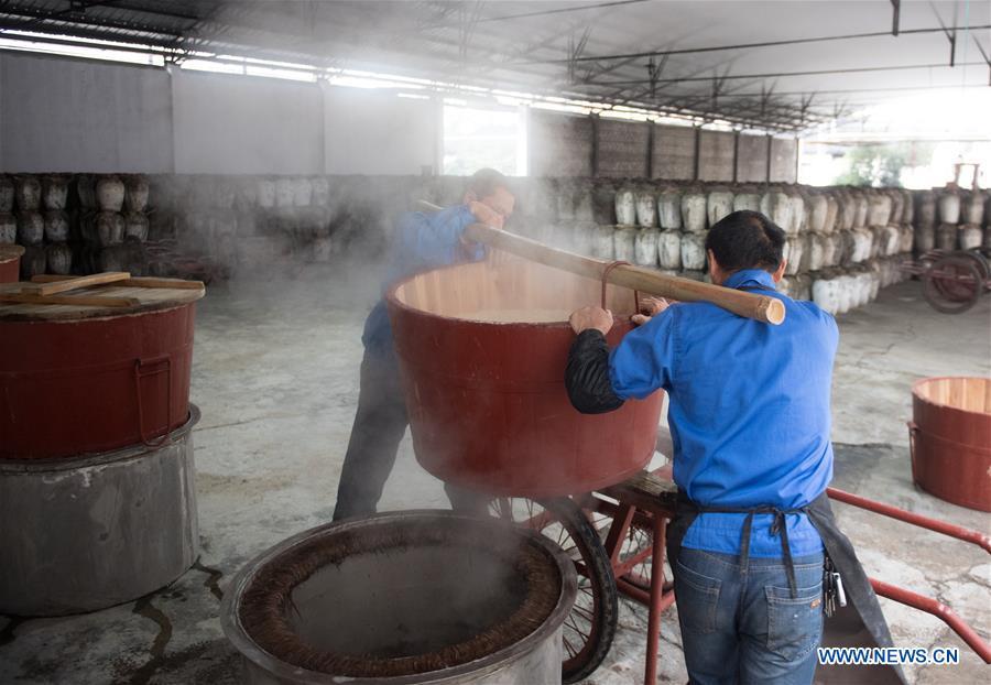 Workers convey the cooked rice to make wine at Shaoxing Nuerhong Winery Company in Shaoxing, east China\'s Zhejiang Province, Nov. 21, 2018. The company maintains its traditional rice wine brewing method, which is composed of nearly 20 processing steps. (Xinhua/Weng Xinyang)