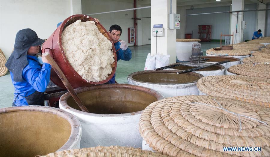 Workers put the cooked rice into a jar to make wine at Shaoxing Nuerhong Winery Company in Shaoxing, east China\'s Zhejiang Province, Nov. 21, 2018. The company maintains its traditional rice wine brewing method, which is composed of nearly 20 processing steps. (Xinhua/Weng Xinyang)