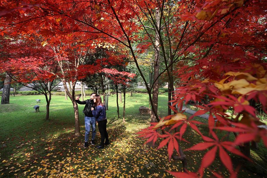 Tourists take selfie at a maple garden at Huanglongdong scenic spot in Zhangjiajie, central China\'s Hunan Province, Nov. 22, 2018. (Xinhua/Wu Yongbing)