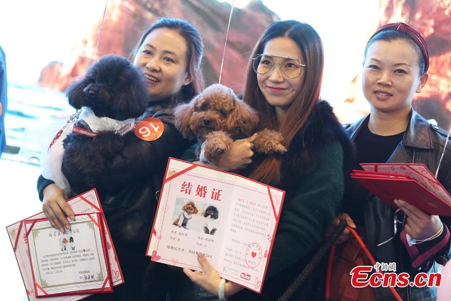 Pet dog owners pose for a photo with their dogs at the 2108 China (Nanjing) Pet Culture Festival in Nanjing, Jiangsu Province, Nov. 24, 2018. A \
