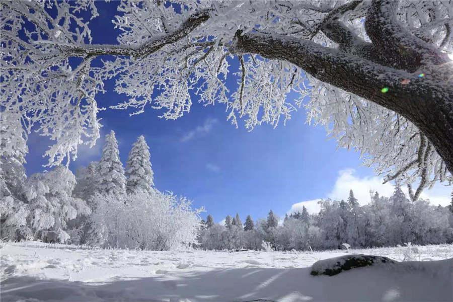 Snowfall has turned the Laoling mountain range into a winter wonderland. (Photo by An Zhenli for chinadaily.com.cn)