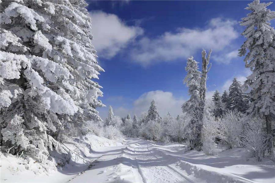 Snowfall has turned the Laoling mountain range into a winter wonderland. (Photo by An Zhenli for chinadaily.com.cn)