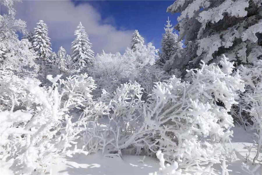 Snowfall has turned the Laoling mountain range into a winter wonderland. (Photo by An Zhenli for chinadaily.com.cn)
