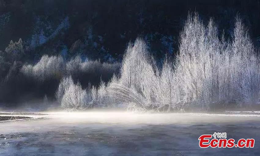 The photo taken in November, 2018 shows the rime scenery in Huzhong, northeast China\'s Heilongjiang province. If you thought it was cold where you are at this moment, then a visit to Huzhong, northeast China\'s Heilongjiang province, might change your mind. A cold front plunged the temperature well below the freezing point to -38 C recent days, the lowest this winter. (Photo: China News Service/ Tian Yunxiang)