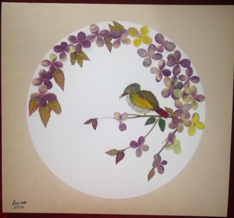 An artwork made of pressed flower by Liu Xianghuan. (Photo provided to chinadaily.com.cn)
Her artworks have become popular at home and abroad.