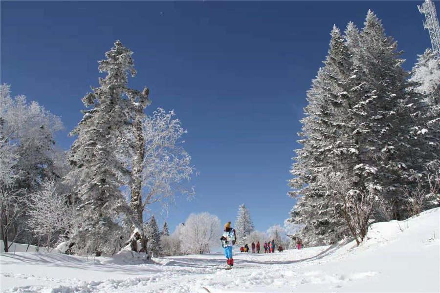 Snowfall has turned the Laoling mountain range into a winter wonderland. (Photo by An Zhenli for chinadaily.com.cn)
As winter comes, tourists flock to the Laoling mountain range located between Antu county and Longcheng city in Northeast China\'s Jilin province. The region sees an early snowfall in the winter because of its high altitude, and has once again transformed into a winter wonderland.