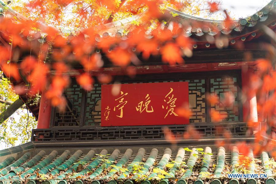 Photo taken on Nov. 25, 2018 shows the Aiwan pavilion of Yuelu Mountain in Changsha, central China\'s Hunan Province. (Xinhua/Zhang Xiaoyu)