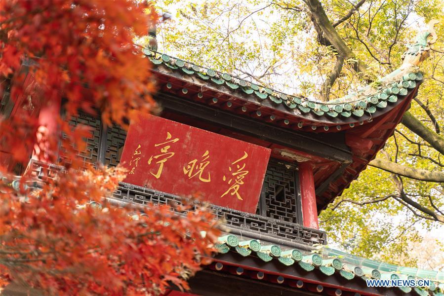 Photo taken on Nov. 25, 2018 shows the Aiwan pavilion of Yuelu Mountain in Changsha, central China\'s Hunan Province. (Xinhua/Zhang Xiaoyu)