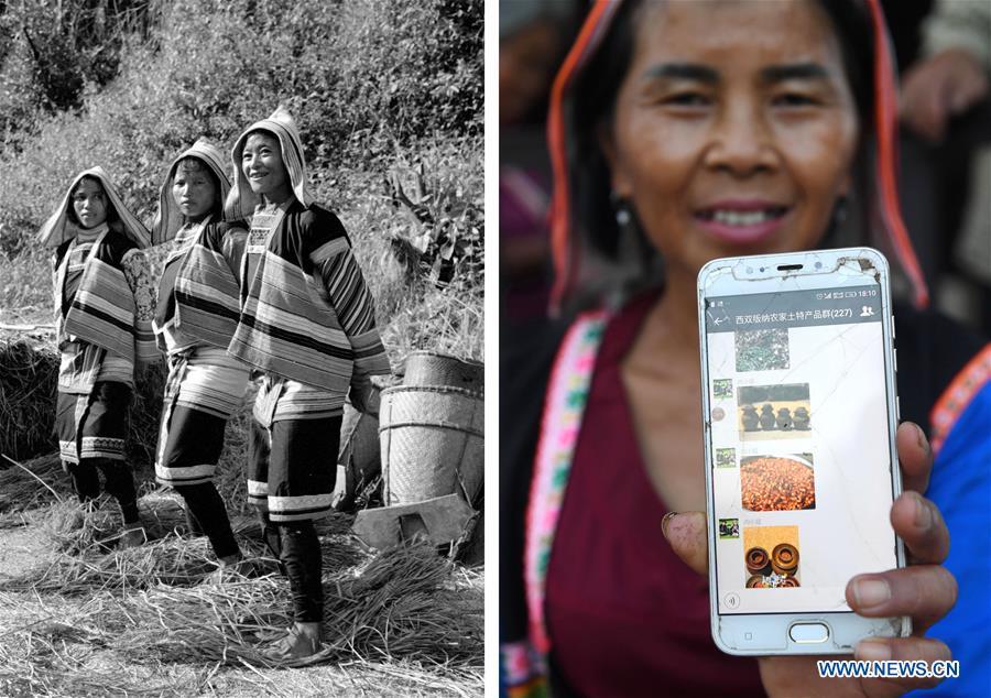 This combination photo shows Jino women separating grain seeds with their feet in 1984 (left, file photo); and Jino villager Li Xiuzhen showing a WeChat group for sales of local specialty goods in Baka Village of Jino Ethnic Township on Jino Mountain, Nov. 20, 2018 (right, photo by Lin Yiguang). With a population of slightly over 20,000, the Jino people had only been officially acknowledged in 1979 as an independent ethnic group of China. Until 1949, most of them had lived for generations in primitive mountain tribes in southwest China\'s Yunnan Province. Over the four decades since it embraced the reform and opening-up policy, China has spared no effort to support ethnic groups with smaller populations. Life on Jino Mountain, where most Jino communities are located, saw positive changes in parallel with improvements in local politics, economy, technology, education, culture, health care, ecology, ethnic development and other social undertakings. Just like its 55 ethnic brethren, the Jino people also benefit from China\'s reform and opening-up in seeking a prosperous life. In Jino Ethnic Township on the Jino Mountain, residents now have direct access to road, water, electricity, TV and radio, as well as the mobile network. Ninety percent of the residents have moved into new houses. Most residents own motorcycles and tractors, and some of them have purchased cars. More people have increased their income by selling local specialty products via the internet, whereas in the past, doing business was perceived as a shame. Currently, the primary education in Jino Ethnic Township achieved 100 percent coverage for all school-age children. More than 99 percent of residents have joined the rural cooperative medical insurance programme. The Jino ethnic culture undergoes protection and inheritance: the great drum dance of the Jino people has been listed as one of China\'s national intangible cultural heritages. (Xinhua)