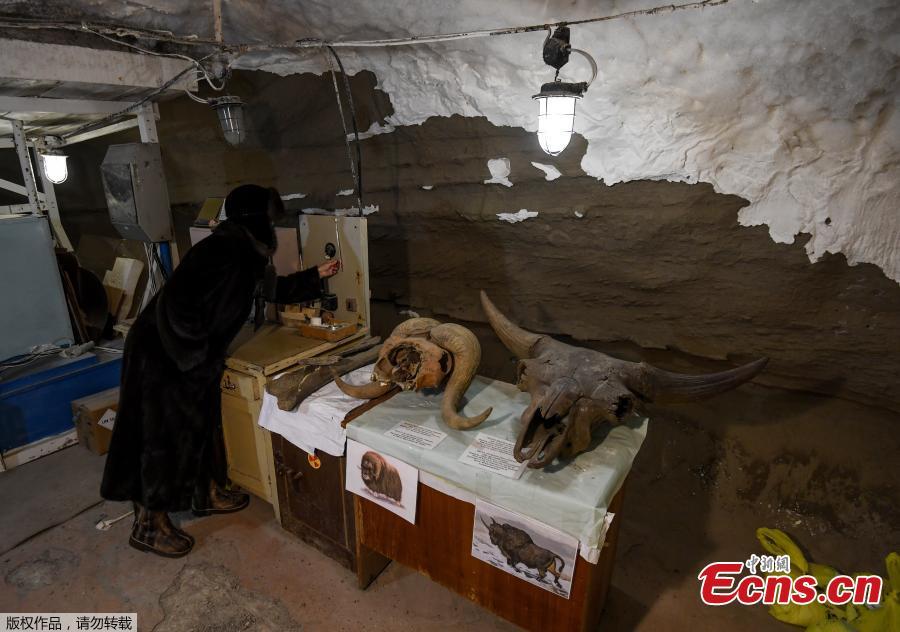 Rozalia Ivanova, administrator of the Museum of the History of Permafrost Studies, checks the thermometer in a gallery beneath the Melnikov Permafrost Institute in the eastern Siberian city of Yakutsk in Russia on November 26, 2018. (Photo/Agencies)
