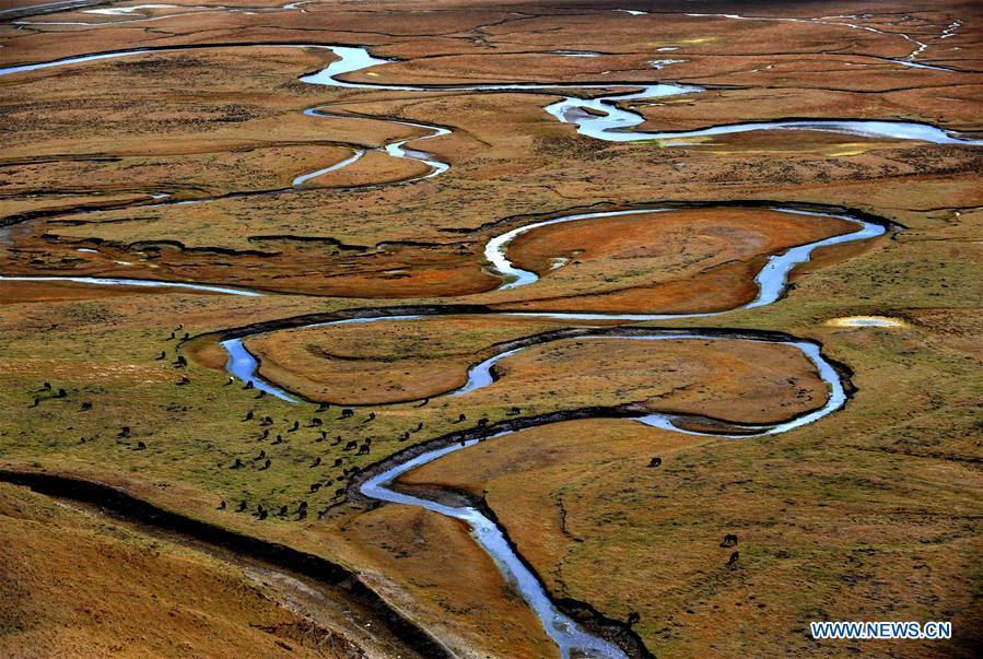 Photo taken on Oct. 22, 2009 shows the scenery of a wetland at Awancang Township in Gannan Tibetan Autonomous Prefecture, northwest China\'s Gansu Province. China has been delivering on its commitment to the international community on climate change by continuously shifting to a more green economy over the past years. New energy-rich regions like Inner Mongolia and Ningxia are sending more electricity generated from clean energy to the country\'s bustling east to help reduce the country\'s heavy reliance on coal in the fight against pollution and coping with climate change. China is also a leader in new energy vehicles (NEVs), with many regions across the country moving to replace their traditional gasoline-powered buses and taxis with green-energy vehicles. The country has been the world\'s largest NEV market for three consecutive years, with some 777,000 NEVs sold in 2017 alone. Sales in the first 10 months of this year jumped 75.6 percent year on year to 860,000 units. Thanks to increased investment in green energy, China\'s carbon intensity, or the amount of carbon dioxide emissions per unit of GDP, in 2017 had declined by 46 percent from 2005 levels, meeting the target ahead of schedule of a 40-45 percent drop by 2020, according to the Chinese Ministry of Ecology and Environment. (Xinhua/Han Chuanhao)