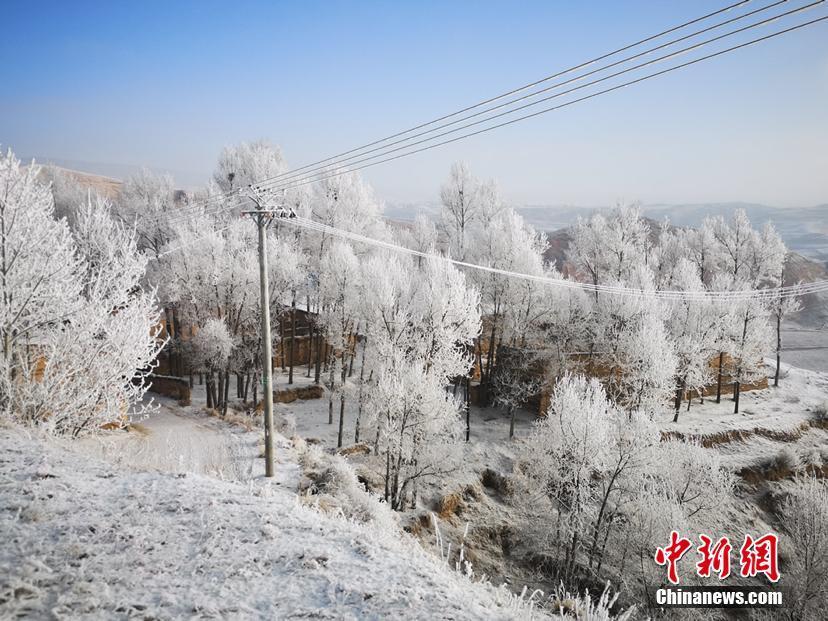 Snowy winter
The snow in North China may last a whole day, breaking tree branches and blocking the road. The natural scenery is \