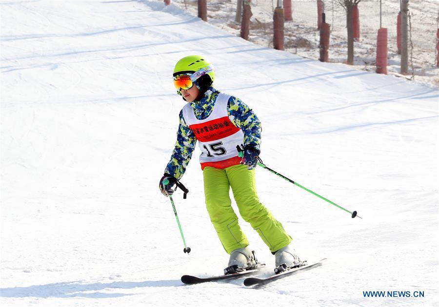 A boy skis at a skiing park in Luquan District in Shijiazhuang, capital of north China\'s Hebei Province, Dec. 9, 2018. (Xinhua/Zhang Xiuke)