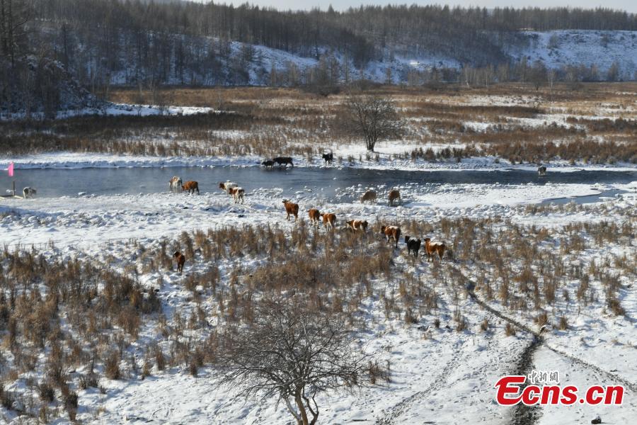 Hardy adventurers raft on a river nicknamed the ‘unfrozen river” with the banks covered in snow in Arxan City, North China’s Inner Mongolia Autonomous Region, Dec. 13, 2018. The 20-kilometer-long river section, 74 kilometers from downtown, never freezes even in the coldest winter due to geothermy. (Photo: China News Service/Zhong Xin)