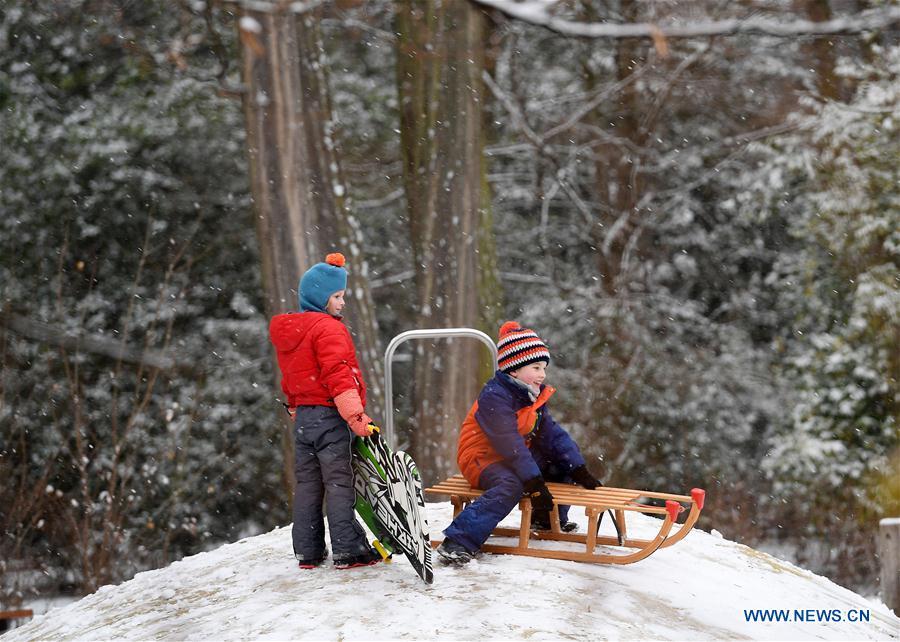 Children sled at the snow-covered Grueneburg Park in Frankfurt, Germany, on Dec. 16, 2018. A snowfall hit Frankfurt on Sunday. (Xinhua/Lu Yang)