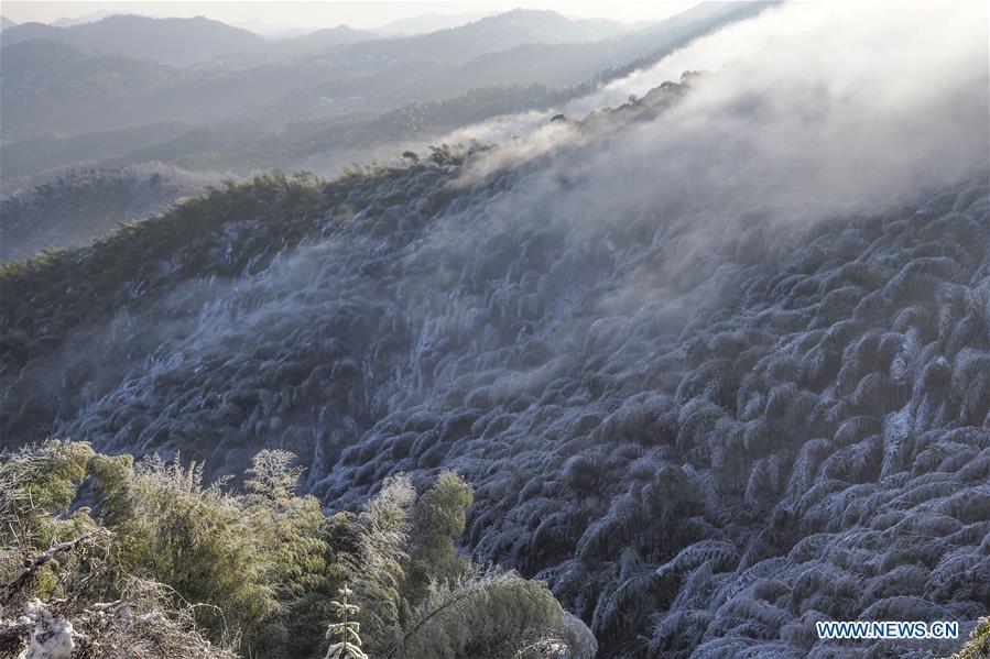Photo taken on Dec. 13, 2018 shows the bamboo forest after a snowfall at Foziling Township of Huoshan County in the Dabieshan Mountain region, east China\'s Anhui Province. (Xinhua/Xu Cheng)