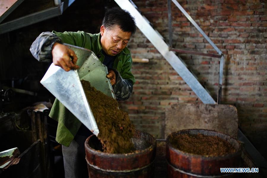 Villager Tan Han arranges powder of camellia seeds for oil extraction in Licha Village of Longsheng County, south China\'s Guangxi Zhuang Autonomous Region, Dec. 17, 2018. Camellia oil made with traditional methods by workshops in the village is quite popular in market because of its better quality and longer guarantee. (Xinhua/Huang Yongdan)