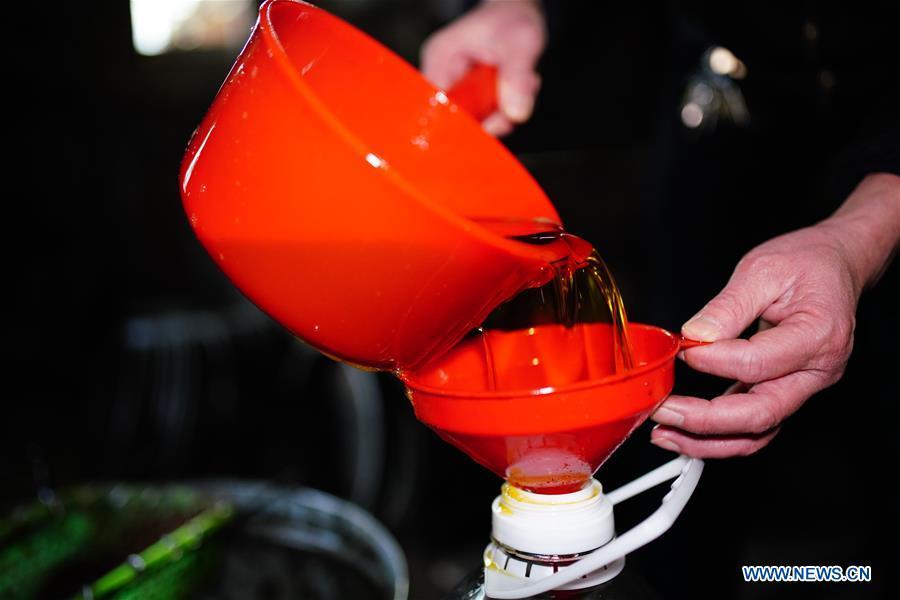A worker fills a bottle with camellia oil, also known as tea seed oil, in Licha Village of Longsheng County, south China\'s Guangxi Zhuang Autonomous Region, Dec. 17, 2018. Camellia oil made with traditional methods by workshops in the village is quite popular in market because of its better quality and longer guarantee. (Xinhua/Huang Yongdan)