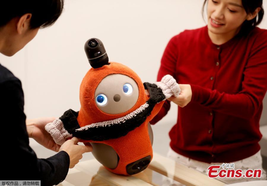 A Japanese tech startup unveiled a series of companion robots for human beings called \
