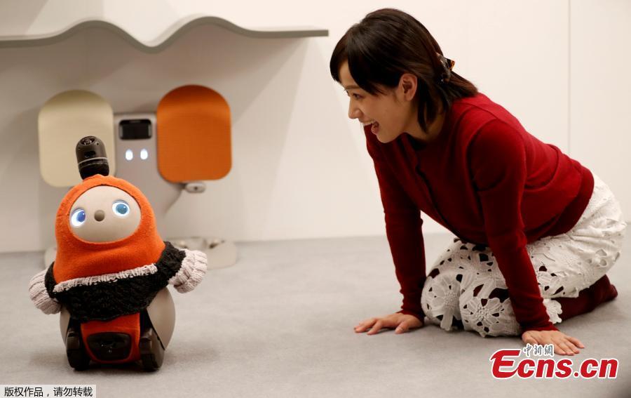 A Japanese tech startup unveiled a series of companion robots for human beings called \