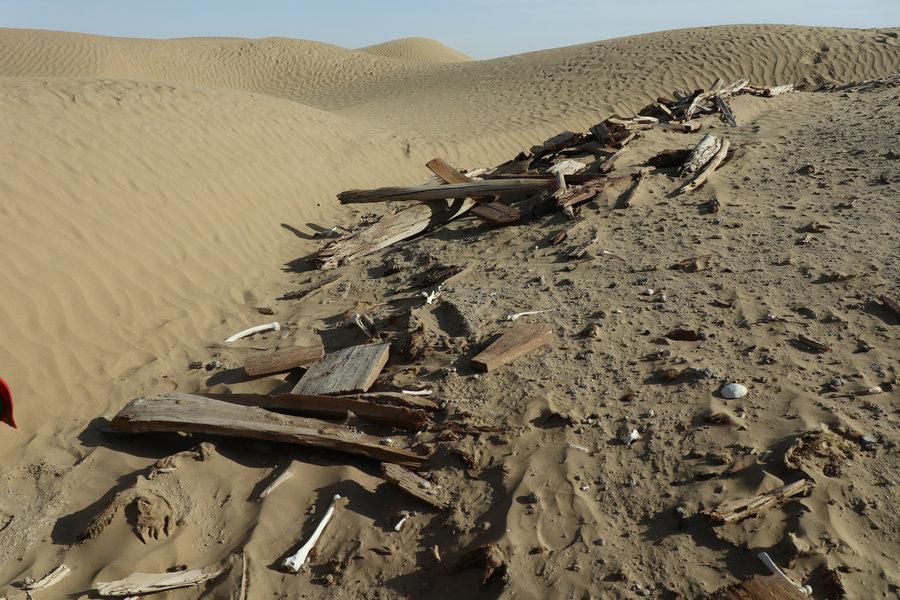 47 heritage sites and more than 70 pieces of relics were found at the middle and lower reaches of the Keriya River in Northwest China\'s Xinjiang Uygur autonomous region. (Photo provided to chinadaily.com.cn)
