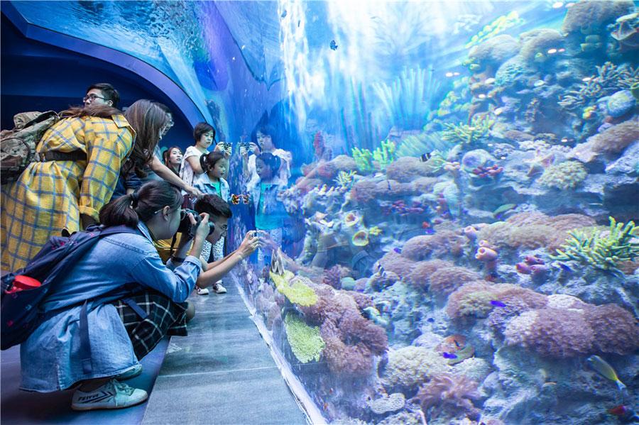 The Shanghai Haichang Ocean Park features five theme zones, three animal theaters, two high-tech cinemas and an ocean-themed resort hotel. (Photo provided to chinadaily.com.cn)
