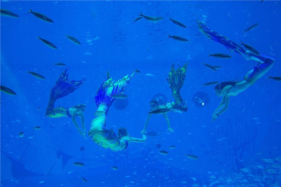 The Shanghai Haichang Ocean Park features five theme zones, three animal theaters, two high-tech cinemas and an ocean-themed resort hotel. (Photo provided to chinadaily.com.cn)