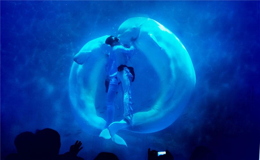 The Shanghai Haichang Ocean Park features five theme zones, three animal theaters, two high-tech cinemas and an ocean-themed resort hotel. (Photo provided to chinadaily.com.cn)