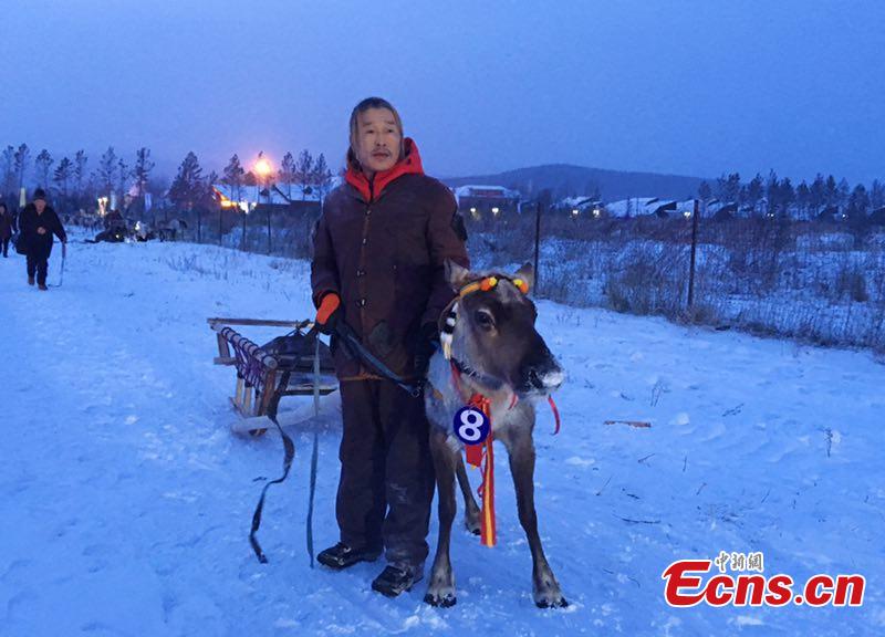 Sled reindeer guided by local Ewenki herdsmen compete in a race on Dec. 25 in Genhe City, China\'s Inner Mongolia Autonomous Region, in a bid to portray local customs. The Aoluguya, a tribe of the Ewenki ethnic group in Genhe city is the only tribe that still breeds reindeer in China. It is said about 800 reindeer are living in Genhe and have become a fascinating \