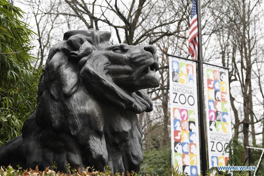 Photo taken on Jan. 2, 2019 shows a statue near the gate of the National Zoo in Washington D.C., the United States. The 19 Smithsonian museums and the National Zoo in Washington D.C. closed their doors on Wednesday as the partial U.S. government shutdown dragged on. (Xinhua/Liu Jie)