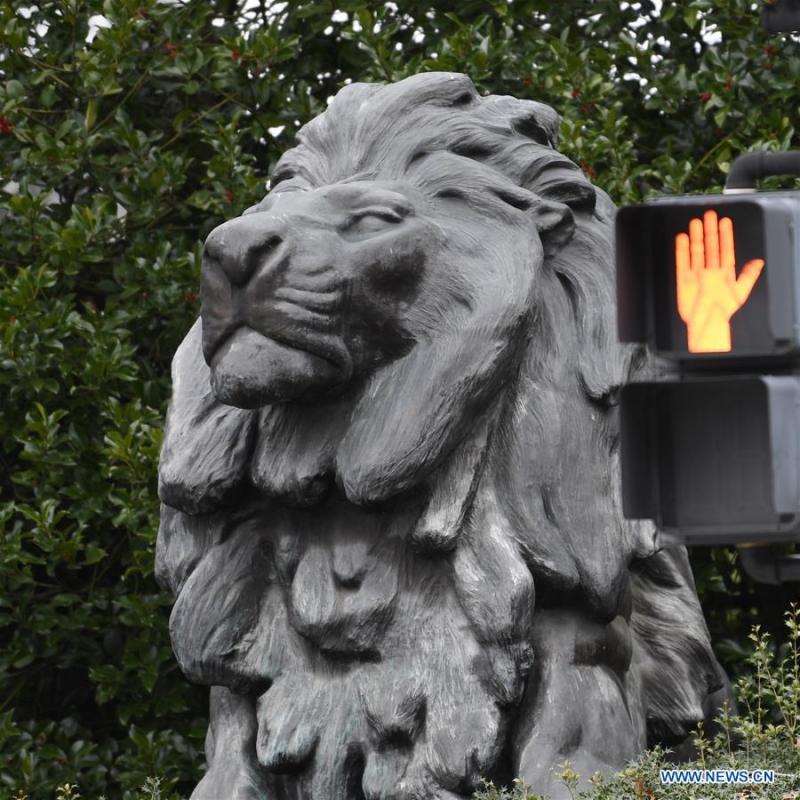 Photo taken on Jan. 2, 2019 shows a statue near the gate of the National Zoo in Washington D.C., the United States. The 19 Smithsonian museums and the National Zoo in Washington D.C. closed their doors on Wednesday as the partial U.S. government shutdown dragged on. (Xinhua/Liu Jie)